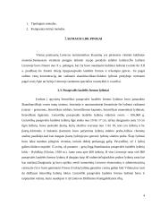 Pinigų istorija LDK 4 puslapis