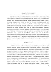 Pinigų istorija LDK 5 puslapis