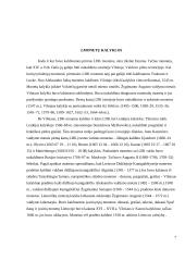 Pinigų istorija LDK 7 puslapis