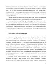 Trečiojo pasaulio šalių vaikų socializacija stratifikacijos aspektu 2 puslapis