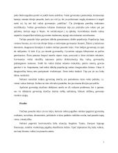 Trečiojo pasaulio šalių vaikų socializacija stratifikacijos aspektu 7 puslapis