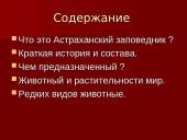 Астраханский заповедник  2 puslapis