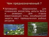 Астраханский заповедник  5 puslapis