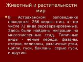 Астраханский заповедник  6 puslapis