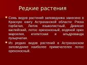 Астраханский заповедник  8 puslapis