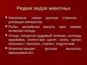 Астраханский заповедник  10 puslapis