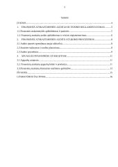 Apgaulės finansinėse ataskaitose 2 puslapis