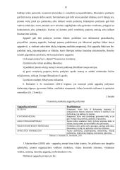 Apgaulės finansinėse ataskaitose 12 puslapis