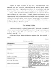 Apgaulės finansinėse ataskaitose 9 puslapis