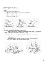 Motorikos sutrikimas, kreivakaklystė pediatrinė kineziterapijos ataskaita 20 puslapis