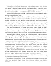 Moteriški ir vyriški diskursai „Dolce & Gabbana“ drabužių reklamoje 2 puslapis