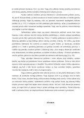 Teisės taikymas: sąvoka, pagrindai, procesas 19 puslapis