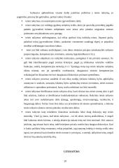 Teisės taikymas: sąvoka, pagrindai, procesas 20 puslapis