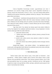 Teisės taikymas: sąvoka, pagrindai, procesas 3 puslapis