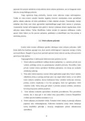 Teisės taikymas: sąvoka, pagrindai, procesas 8 puslapis