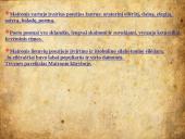 Skaidrės apie Maironį 8 puslapis