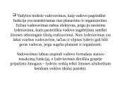 Lyderiavimas ir vadovavimas skaidrės 2 puslapis