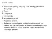 Lyderiavimas ir vadovavimas skaidrės 12 puslapis