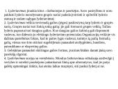 Lyderiavimas ir vadovavimas skaidrės 6 puslapis