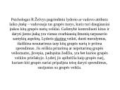 Lyderiavimas ir vadovavimas skaidrės 8 puslapis