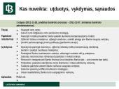 AB banko Snoras bankroto proceso apžvalga 13 puslapis