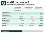 AB banko Snoras bankroto proceso apžvalga 16 puslapis