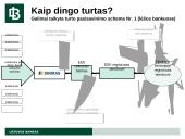 AB banko Snoras bankroto proceso apžvalga 19 puslapis