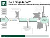 AB banko Snoras bankroto proceso apžvalga 20 puslapis