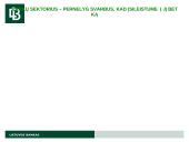 AB banko Snoras bankroto proceso apžvalga 6 puslapis