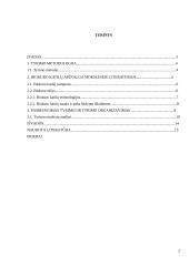 Biokuro katilų įdiegimas, mažinant šildymo išlaidas 2 puslapis