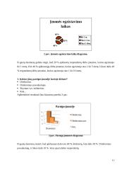 Biokuro katilų įdiegimas, mažinant šildymo išlaidas 11 puslapis
