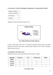 Biokuro katilų įdiegimas, mažinant šildymo išlaidas 12 puslapis