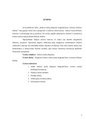 Biokuro katilų įdiegimas, mažinant šildymo išlaidas 3 puslapis