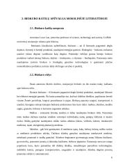 Biokuro katilų įdiegimas, mažinant šildymo išlaidas 6 puslapis