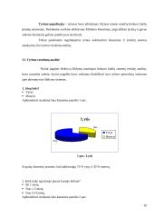 Biokuro katilų įdiegimas, mažinant šildymo išlaidas 10 puslapis