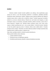 Valstybės ir pilietybės santykis XXI amžiuje referatas 3 puslapis