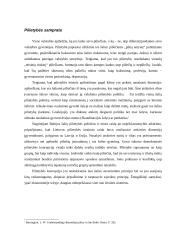 Valstybės ir pilietybės santykis XXI amžiuje referatas 4 puslapis