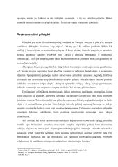 Valstybės ir pilietybės santykis XXI amžiuje referatas 6 puslapis