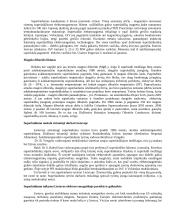 Superlaidumas ir jo praktinis taikymas 5 puslapis