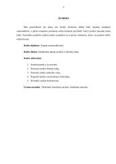 Tepalų produkto analizė 3 puslapis