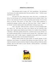 Tepalų produkto analizė 4 puslapis