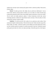 Tepalų produkto analizė 7 puslapis