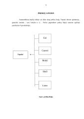 Tepalų produkto analizė 9 puslapis