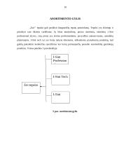 Tepalų produkto analizė 10 puslapis