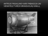 JAV ir Sovietų Sąjungos ginklavimosi varžybos (Šaltojo karo simbolis) 4 puslapis