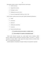 UAB ,,Nostrada“ ūkinės veiklos analizė  16 puslapis