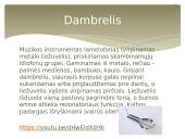 Lietuvių liaudies muzikos instrumentai ir jų skleidžiama muzika 5 puslapis