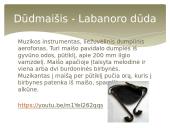 Lietuvių liaudies muzikos instrumentai ir jų skleidžiama muzika 9 puslapis