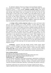 Socialinė psichologija 4 puslapis