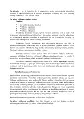 Socialinė psichologija 6 puslapis